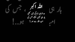 Allah Par Ummid Islamic Quotes in Urdu #allahparummid #allahparbharosa #allahpartawakkul #trending