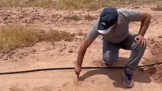 تحليل التربة الطريقة الصحيح لأخذ عينات التربة  الأشجار الصغيرة تعتبر التربة الزراعية المكان الطبيعي