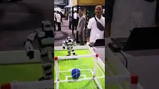 Real-Time Hand Gesture Recognition