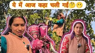 आज में गई घास। ये में घास के लिए खा चली गई🤔🫢Daily vlog।@sunitapapola-2g 
