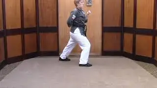 Tracy Kenpo Karate Form Short 3