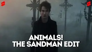 Animals | The Sandman Edit | #shorts #youtubeshorts #sandman #animals | @SpedyEditz