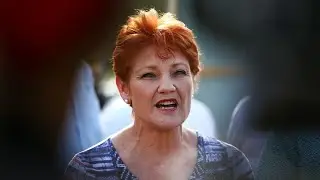 Hanson 'sick of procrastination' in govt as dairy industry motion voted down