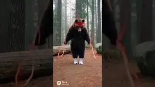 &ldquo;Grind mode: ON 🦾🐻&rdquo; #zoo #humor #animal