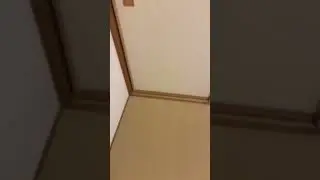 Gravity is not real