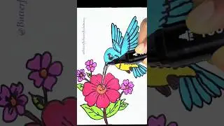 colouring#drawing#sketch #easy#shortvideo#birds#flowers
