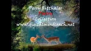Perry Ritthaler Poetry Collection