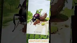 La carta del d&iacute;a para hoy con el Forest Realm Tarot de @naipesartesanos #tarotespa&ntilde;a #cartadeldia