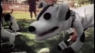Pets.com Sock Puppet Commercial: 