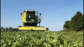 F&oslash;devarebranchen producenter, grossister og leverand&oslash;rer