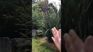 Part of the &lsquo;Harakeke Compost&rsquo; series