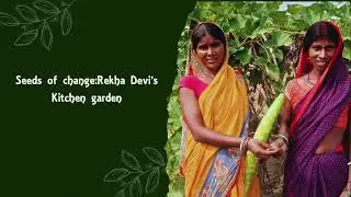 Creating a sustainable livelihood