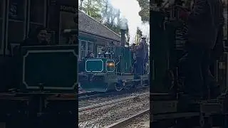 Axe Peter Pan and Chaloner passing through woody bay