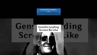 Genshin loading screen be like