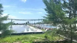 Shrimp Farm Visit in Bangyuwangi Indonesia
