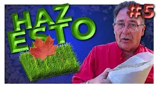 ¿Qué hacer con el CÉSPED en OTOÑO?🍁🌳 #5