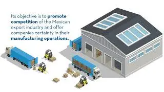 What is the IMMEX Program?