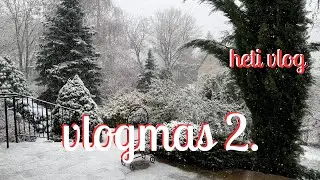 Adventi napl&oacute; | 2. bejegyz&eacute;s | kar&aacute;csonyi v&aacute;s&aacute;r, h&oacute; &eacute;s sok rizsa🎄🐈✨
