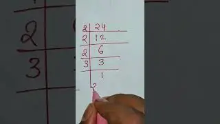 prime factor of 24