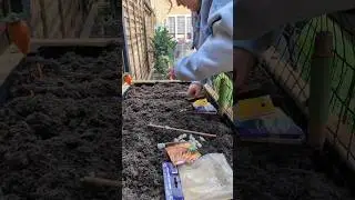 Part 3| it's planting timeee #gardening #gardendiy #vegetablepatch #homegrown