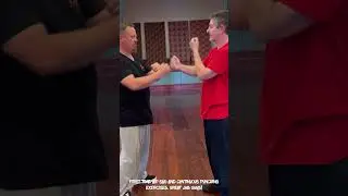 Lap Sau and Punching Exercise #wingchun #kungfu #lapsau #punching