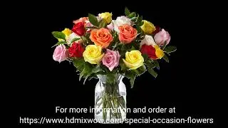 HD FLOWER - Special Occasions Flowers 1