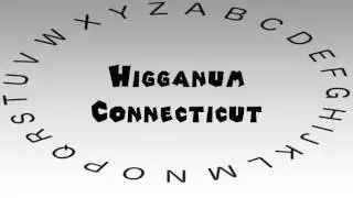 How to Say or Pronounce USA Cities &mdash; Higganum, Connecticut