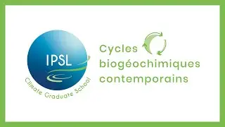 Cycle du carbone sur le temps long - Partie 2 : Les derniers 600 millions d'ann&eacute;es