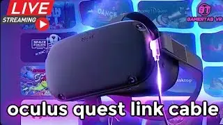 Oculus Quest LINK Gameplay
