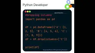 Pandas DataFrame 101: Essential Tips and Tricks 