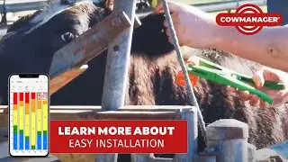 Installing CowManager: A Simple 3-Step Process