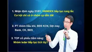 Chứng kho&aacute;n h&agrave;ng ng&agrave;y: Nhận định thị trường ng&agrave;y 21/01. Cơ hội chỉ c&oacute; ở nh&oacute;m cổ phiếu dẫn dắt?