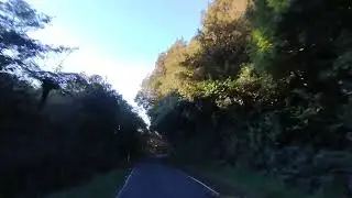 Sunset Forest Drive 89 return NZ - Akatarawa Road Rambles