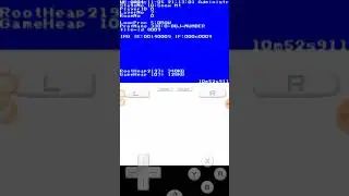 SM64 DS : Crash