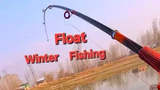 Зимняя рыбалка с поплавка 🎣 Рыбалка с одним крючком #Подписывайтесь на канал, чтобы получать боль...