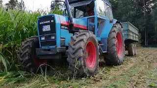 Eicher 3072 Maishäckseln  Mengele MB 300 . Maisernte 2023 Maishäckseln 2023 Häckseln 2023 .