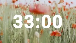 33 Minute Timer with Relaxing Music and Alarm, Countdown Clock for Stress Relief