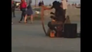 Homeless Harp Player in Venice Beach