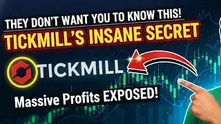 Real Trader Experience | Why I Use Tickmill for All My Trades