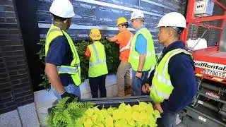 Living Here in Allentown: The Five City Center Living Wall