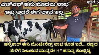 ಇಪ್ಪತ್ತು ಎಚ್ಎಫ್ ಹಸುಗಳನ್ನು ಕೂಡ ಸಾಕಿದ್ದೇನೆ... ಅವುಗಳಿಂದ ಬರುವ ಆದಾಯ ಏನು ಎಂದು ತಿಳಿದು ಅವುಗಳನ್ನೆಲ್ಲ ಮಾರಿದೆ 