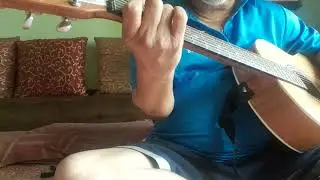 The Gunner's Dream Acoustic cover from the Pink Floyd album The Final ✂️