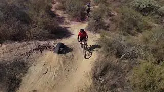 Tapia Raw