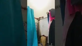 Fear Of Criminal Cat | Nonstop Fun & Cuteness!