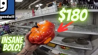 Я сорвал джекпот в Goodwill!!