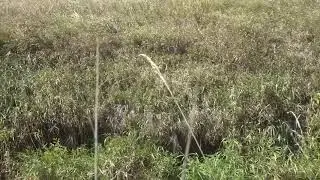 Precision Conservation Creates Greener Agriculture
