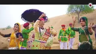 Camel festival #camelfestival 