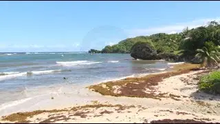 Barbadians urged to stop illegal dumping