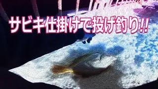 【北海道石狩湾・小樽釣り】石狩湾新港樽川埠頭　サビキ仕掛けで投げ釣り!!　2024.2.29　北国の生活（カレイ、ハゼ、ぶっこみサビキ、夜釣り）