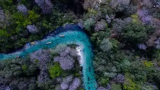 Weeki Wachee River